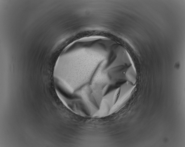 X0000094330967200711241825