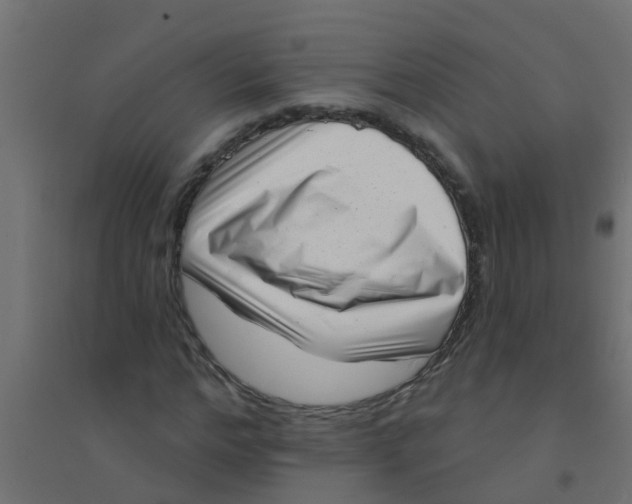 X0000094330968200711241825