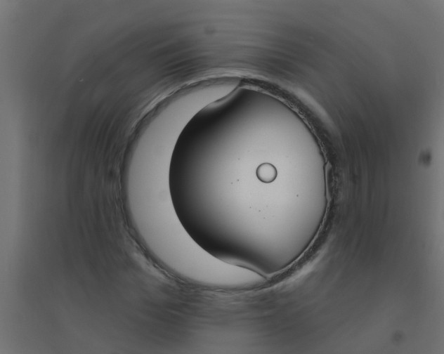 X0000094330969200711241825