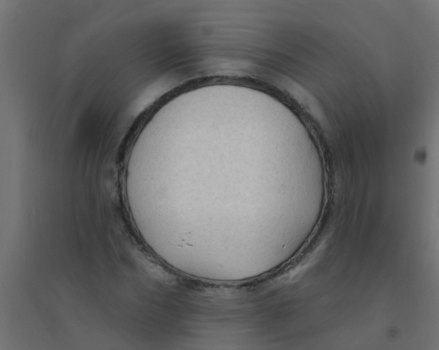 X0000094330970200711241825