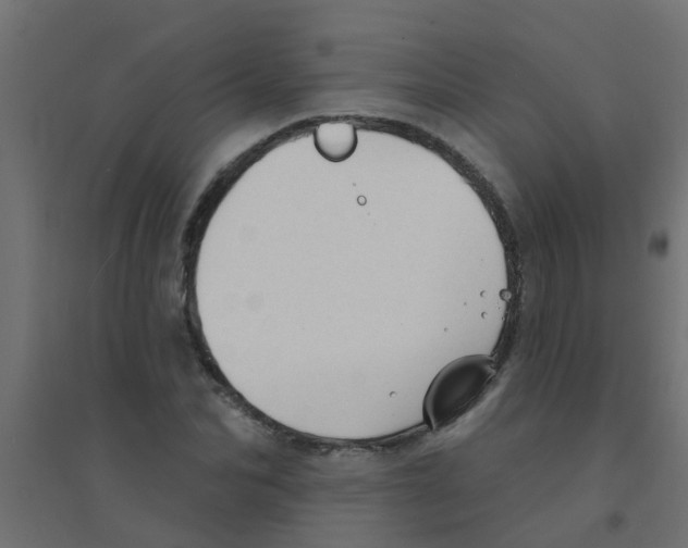 X0000094330974200711241825