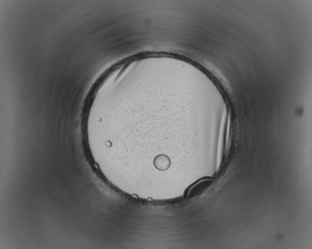 X0000094330976200711241825