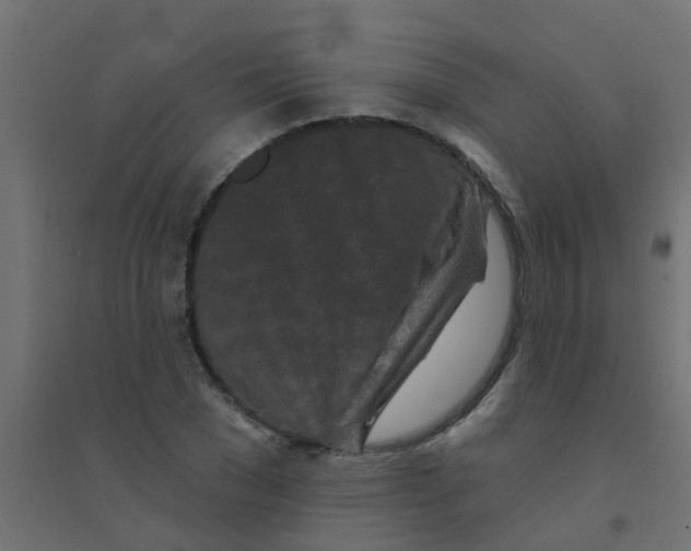 X0000094330977200711241825