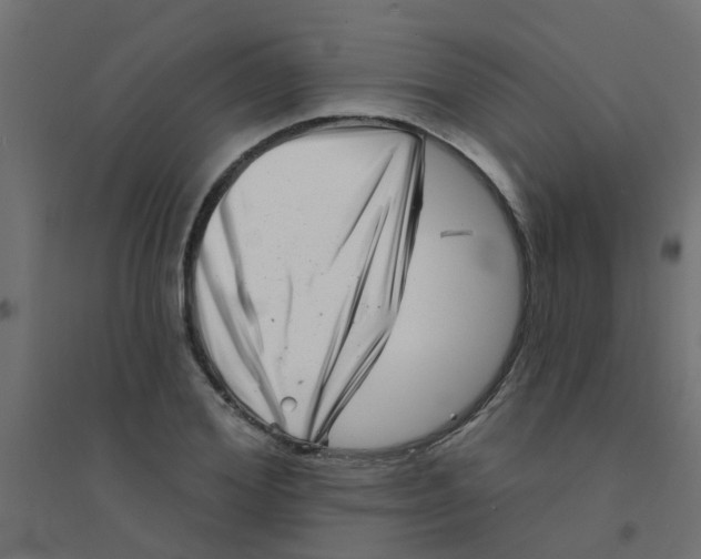 X0000094330980200711241825