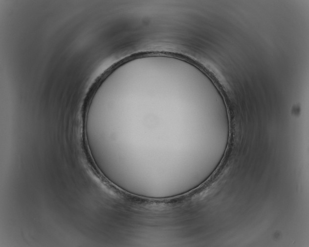 X0000094330982200711241825