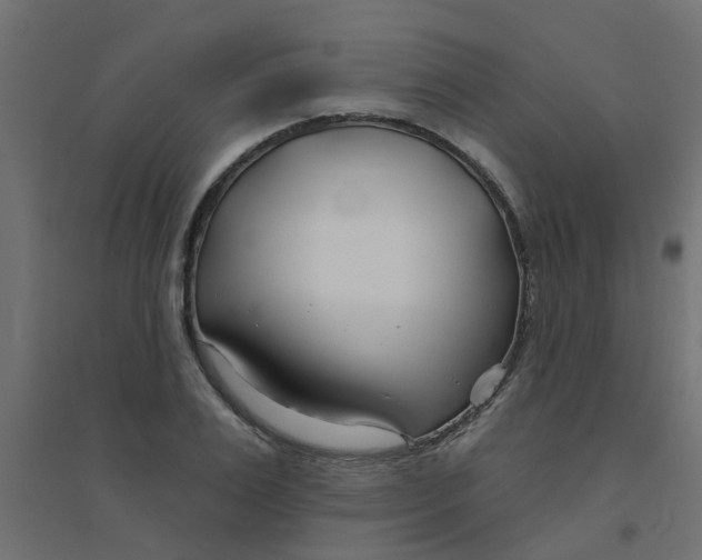 X0000094330983200711241825