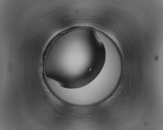 X0000094330984200711241825