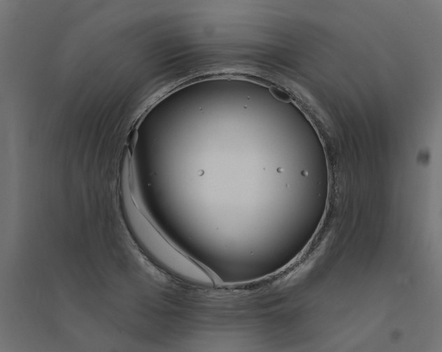 X0000094330985200711241825