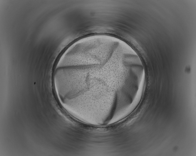 X0000094330986200711241825