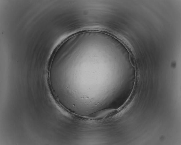 X0000094330989200711241825