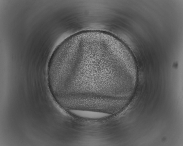 X0000094330990200711241825
