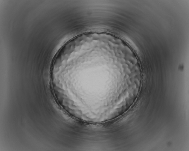 X0000094330994200711241825