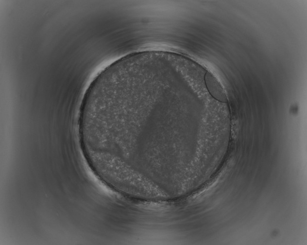 X0000094330995200711241825