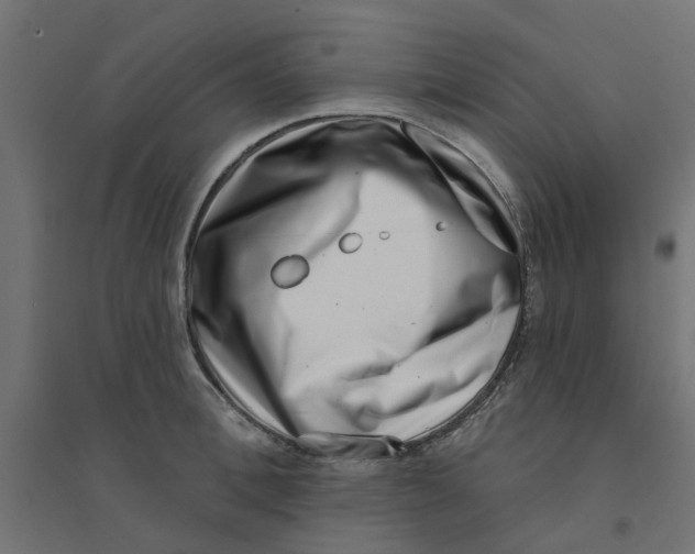 X0000094330996200711241825