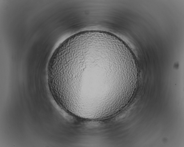 X0000094330998200711241825