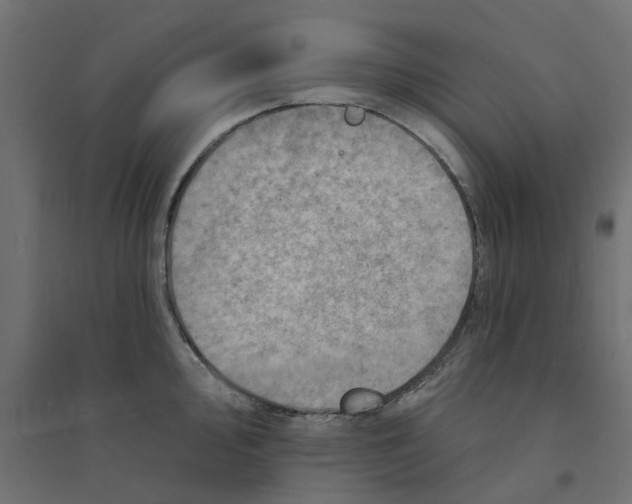 X0000094331000200711241825