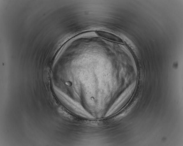 X0000094331001200711241825