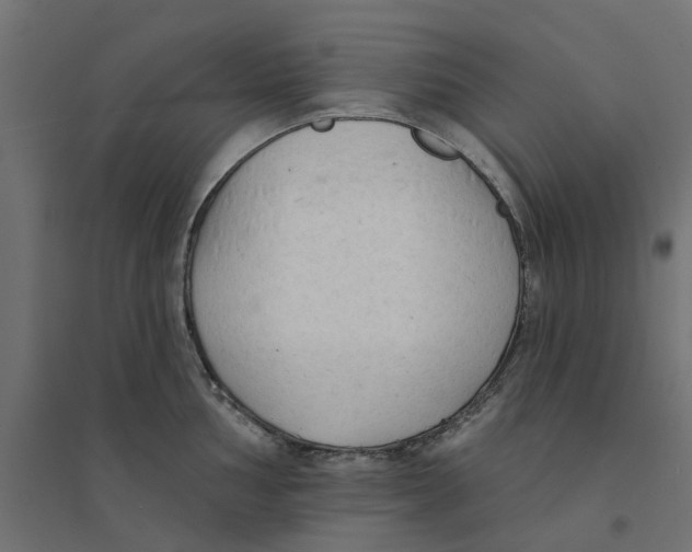 X0000094331002200711241825