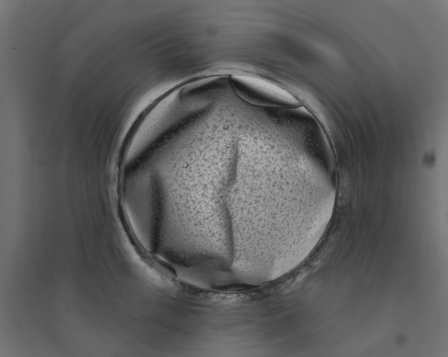 X0000094331003200711241825