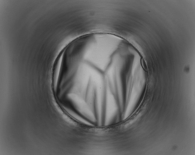 X0000094331005200711241825