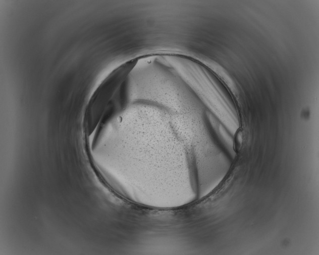 X0000094331006200711241825