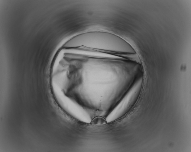 X0000094331008200711241825