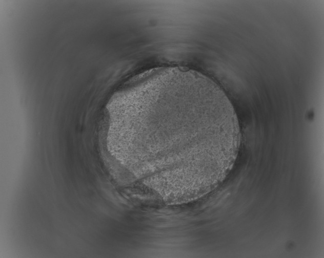 X0000094331009200711241824