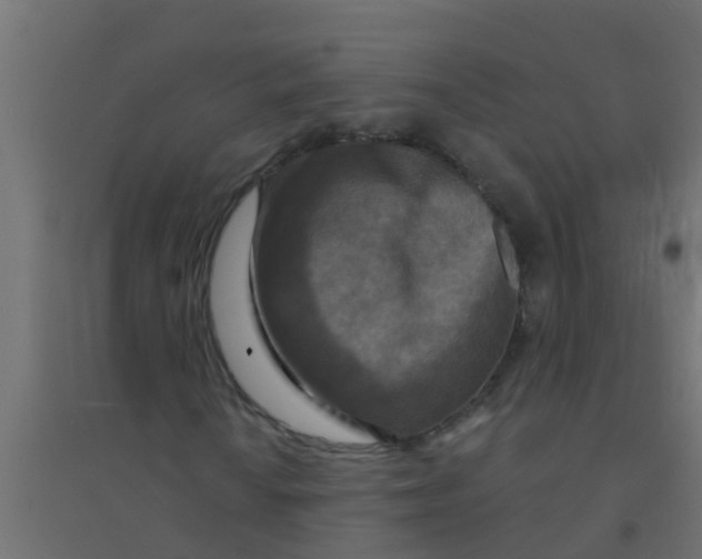 X0000094331010200711241824