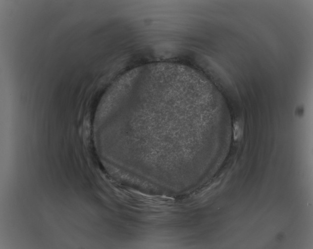 X0000094331011200711241824