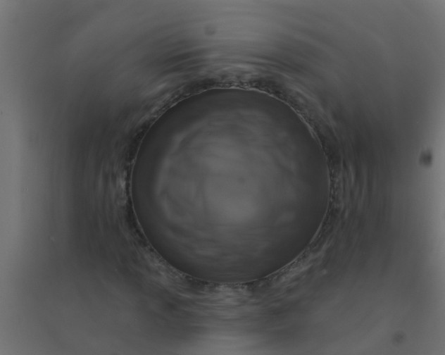 X0000094331013200711241824