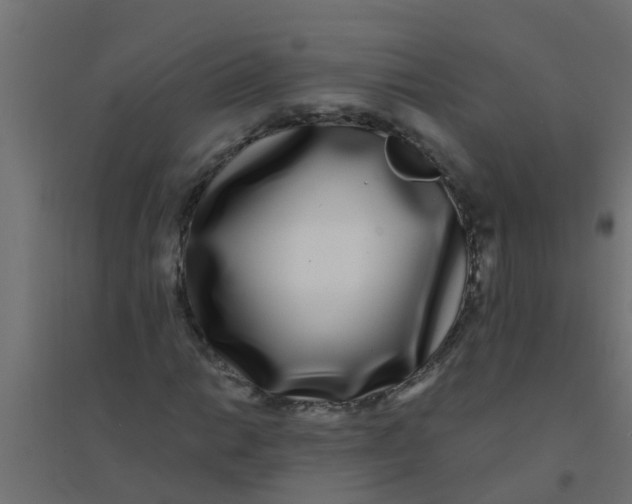 X0000094331014200711241824
