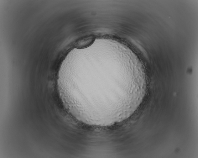 X0000094331015200711241824