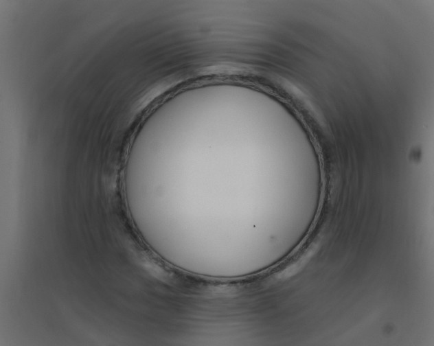 X0000094331017200711241824