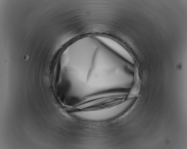 X0000094331018200711241824