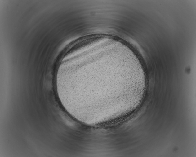 X0000094331019200711241824