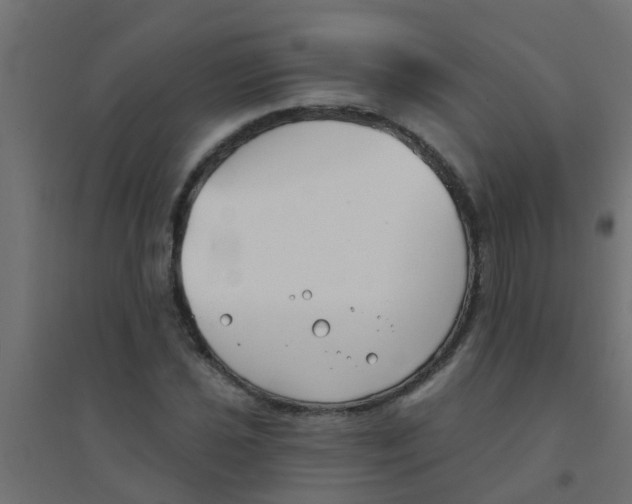X0000094331021200711241824