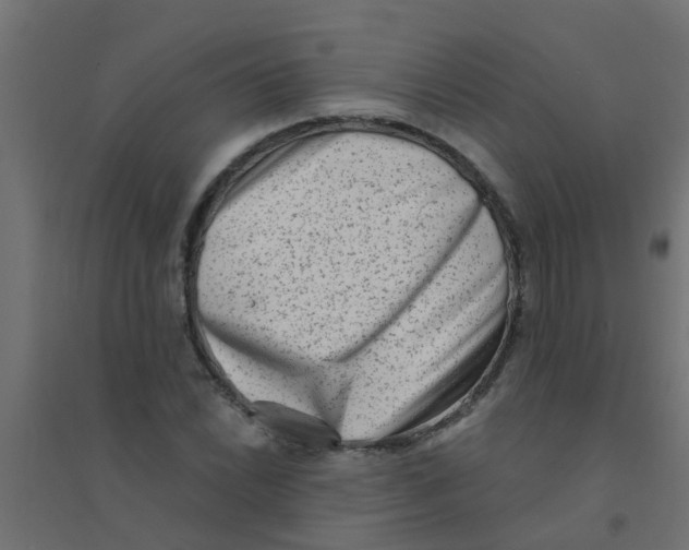 X0000094331022200711241824