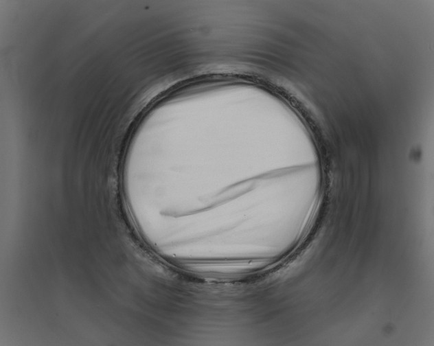 X0000094331025200711241824