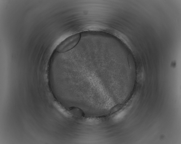 X0000094331026200711241824
