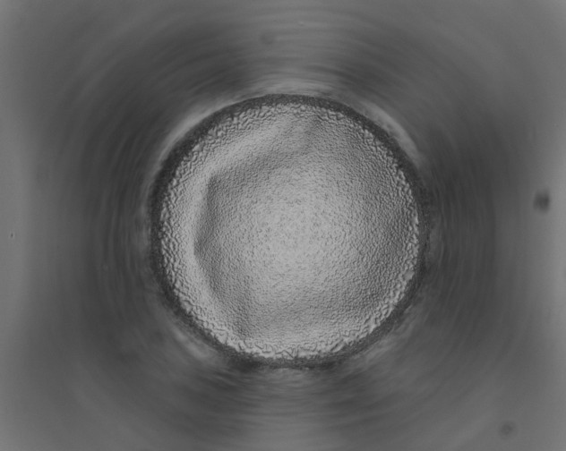 X0000094331027200711241824