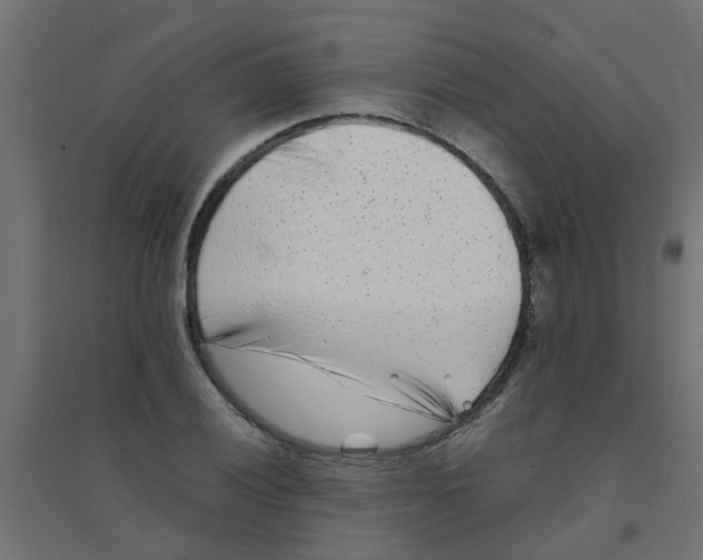 X0000094331028200711241824