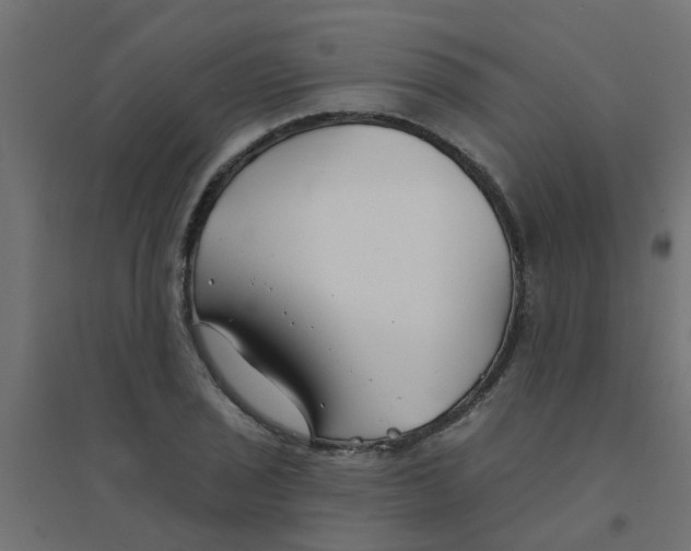 X0000094331029200711241824