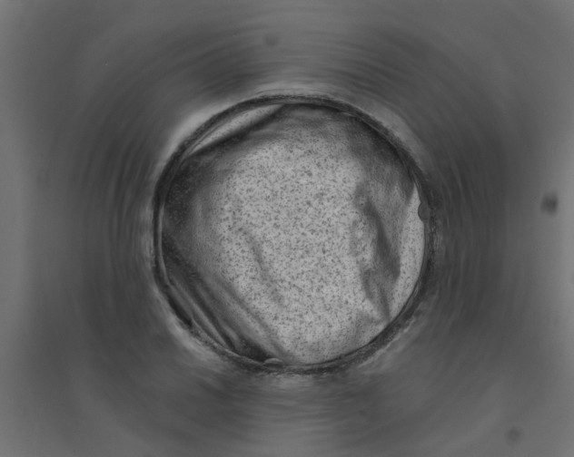 X0000094331030200711241824
