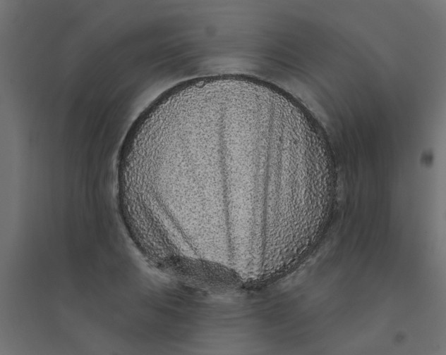 X0000094331031200711241824