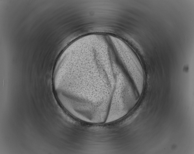 X0000094331033200711241824