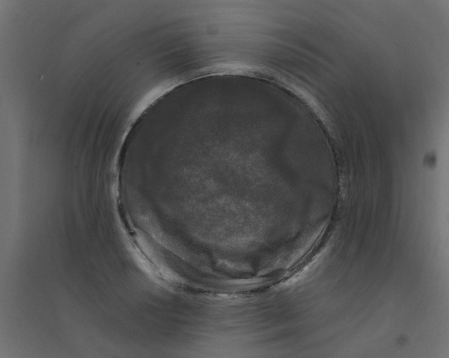 X0000094331034200711241824
