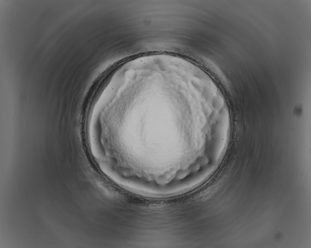 X0000094331035200711241824