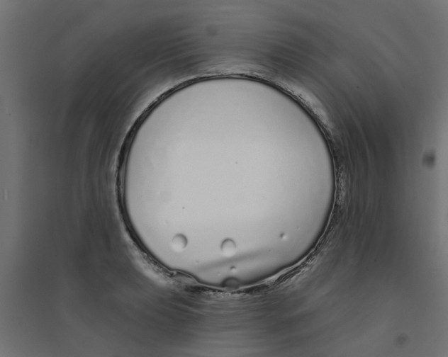 X0000094331039200711241824