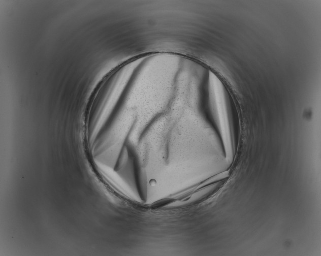 X0000094331040200711241824