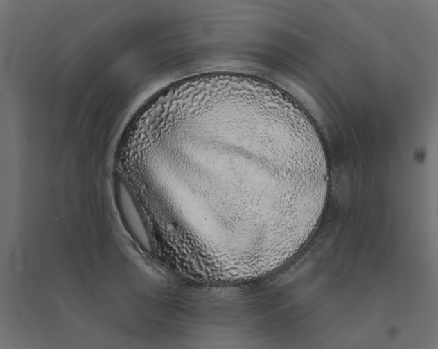 X0000094331043200711241825